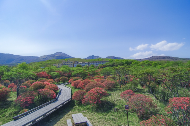 那須高原　風景