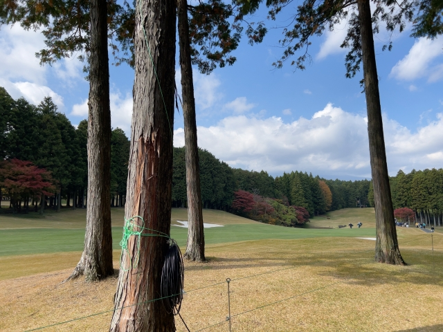御殿場　ゴルフ場